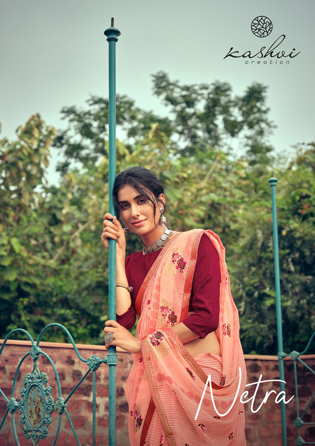 Netra Kashvi Saree ( Rate : 455/- Per Pcs , Design : 10 Pcs Catalog )